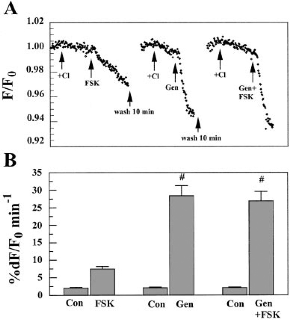 Fig. 9