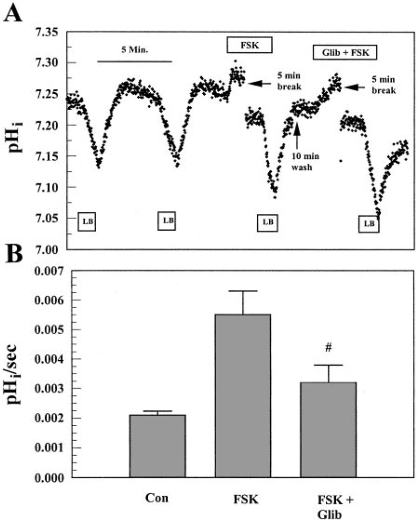 Fig. 8