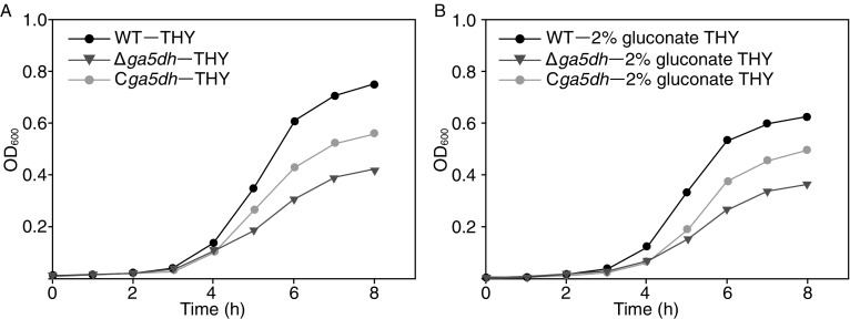 Figure 2