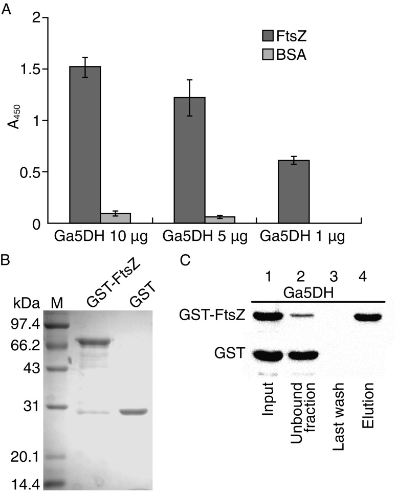 Figure 6