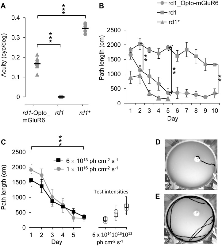 Fig 9