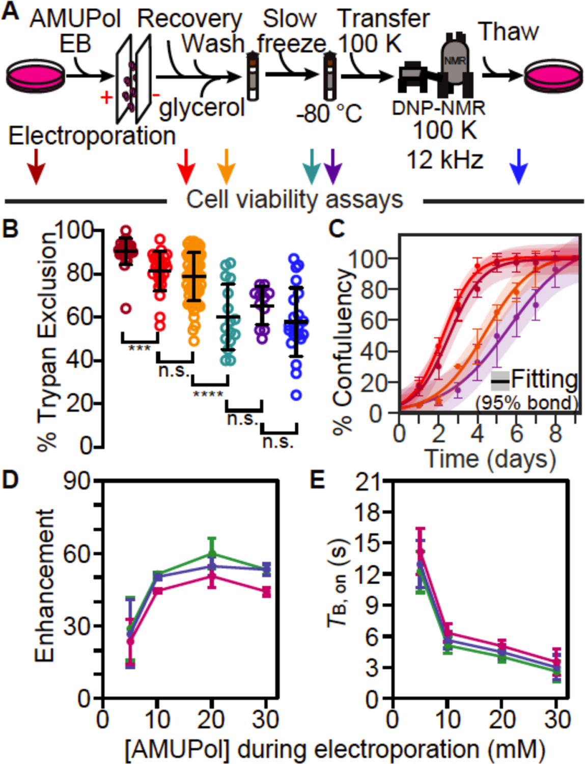 Figure 4: