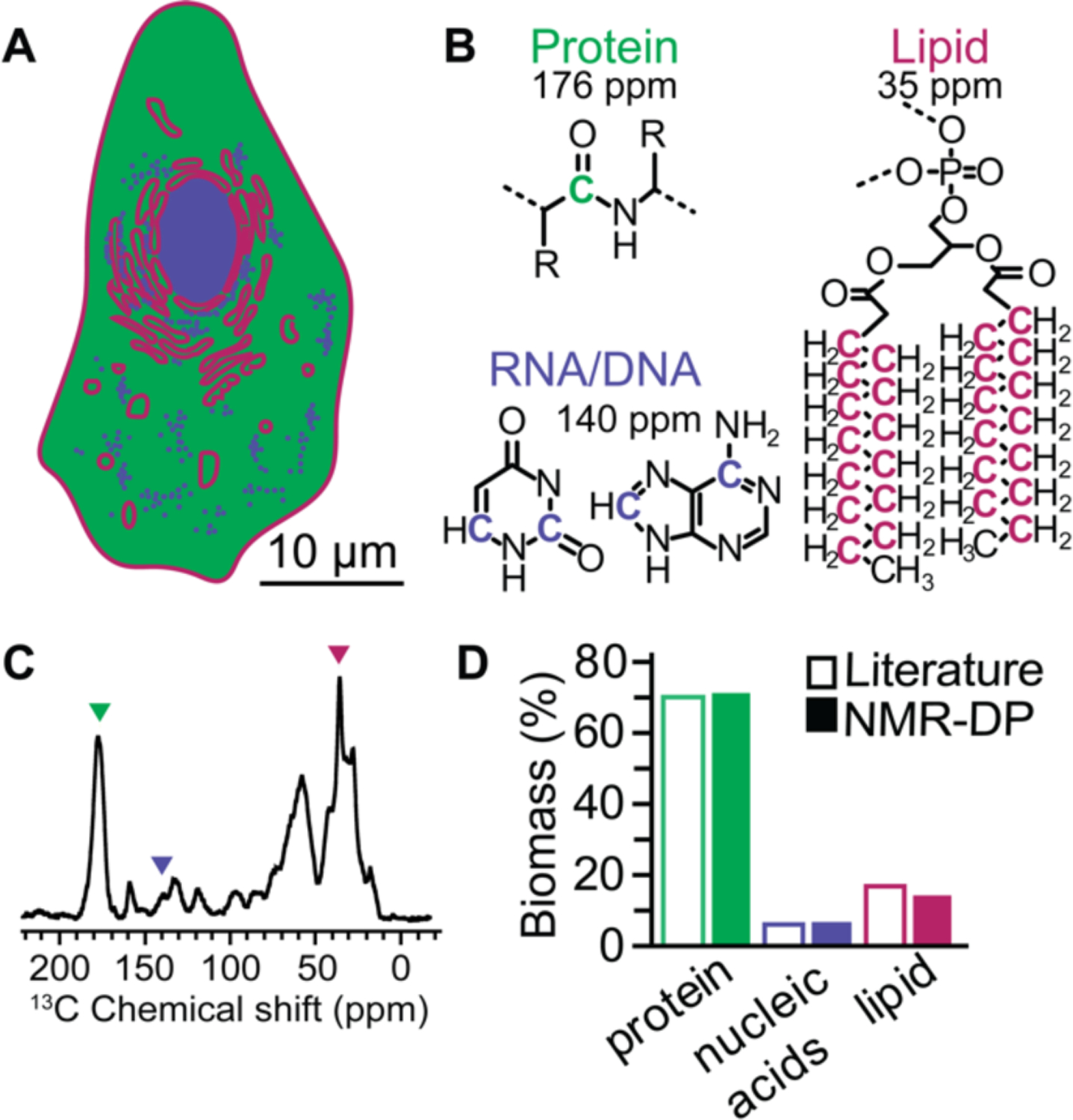 Figure 2: