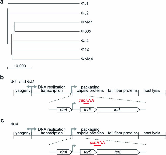 Extended Data Fig. 9