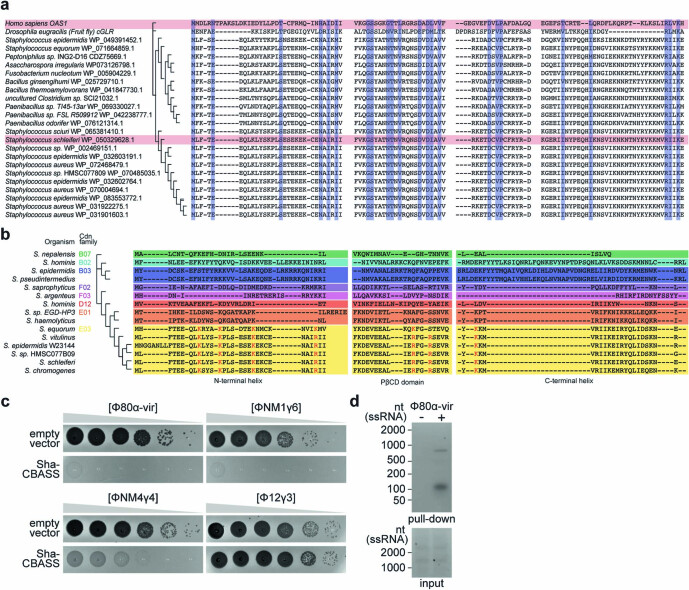 Extended Data Fig. 5