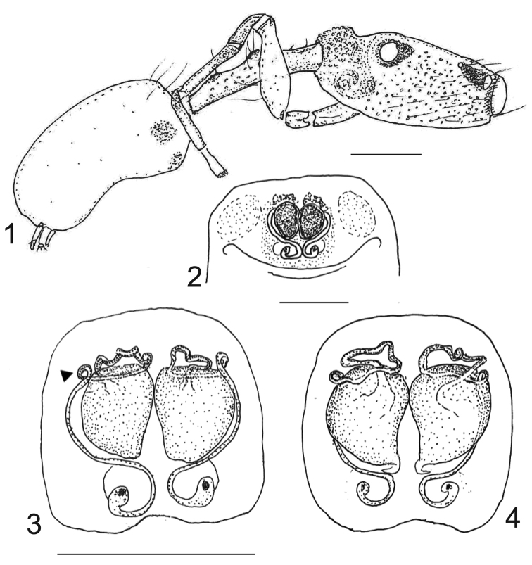 Figures 1–4.