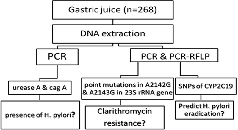 FIGURE 1