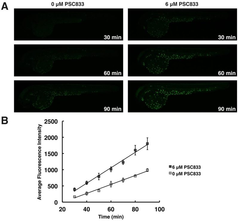 Figure 4.