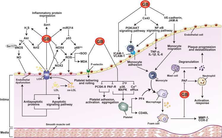 Figure 3