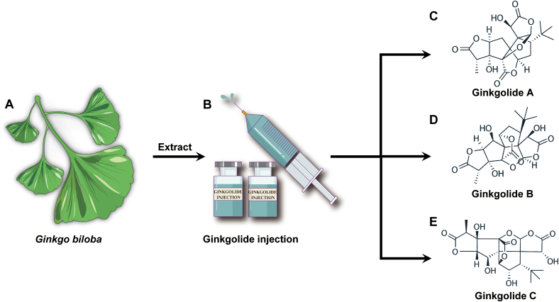 Figure 1