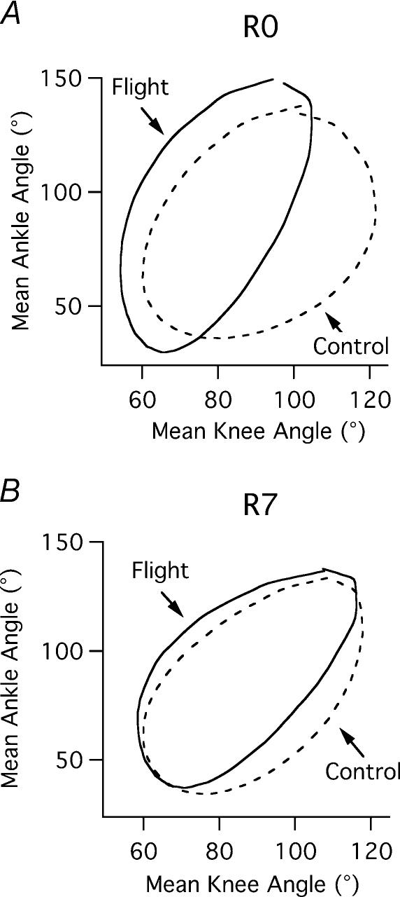 Figure 8