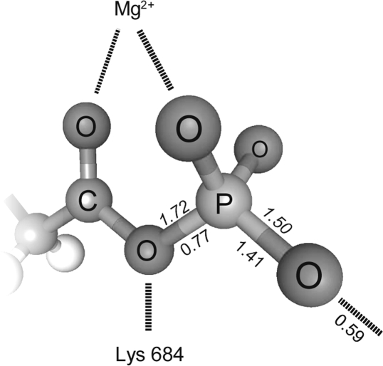 Figure 25