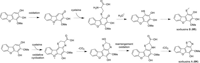 Fig. 4