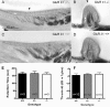FIG. 8.