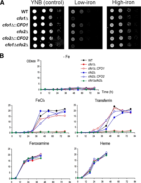 FIG. 1.