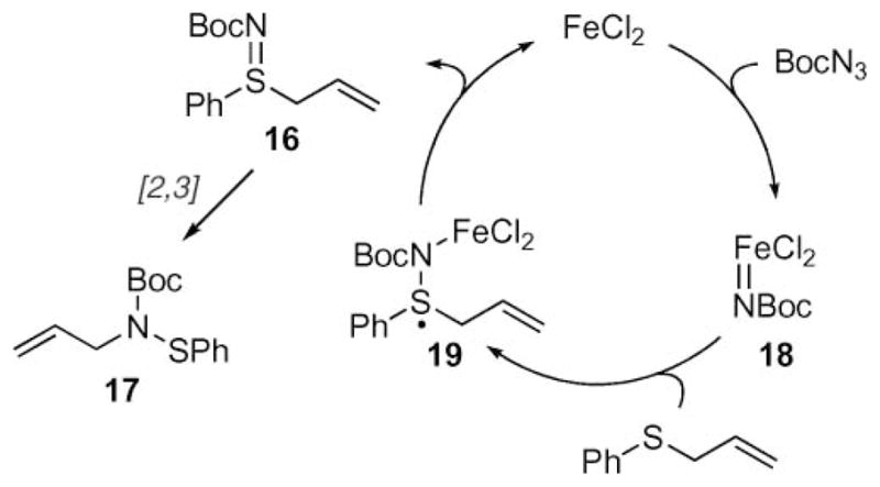 Scheme 5