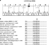 <b>FIG. 1.</b>
