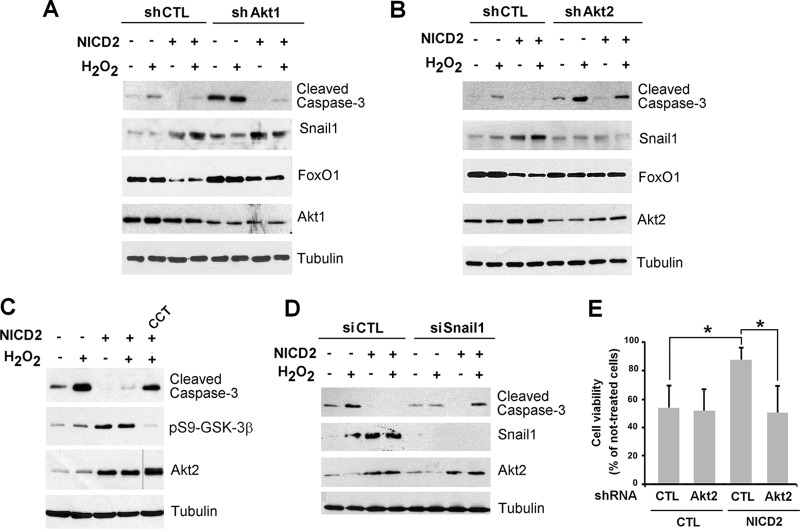 FIG 10