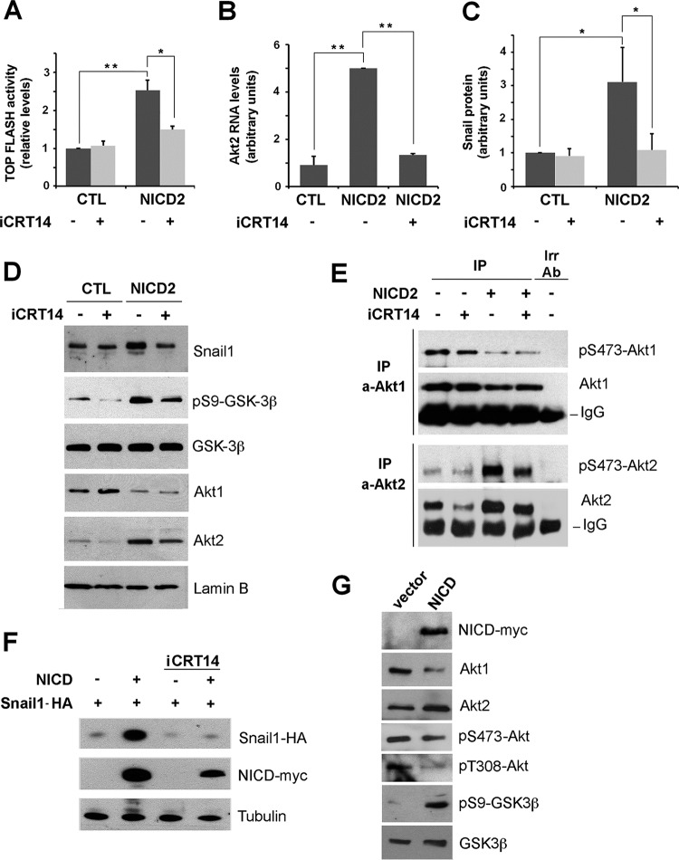 FIG 6