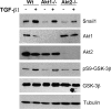 FIG 8