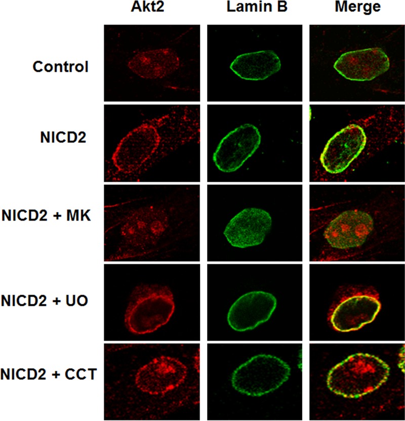 FIG 12