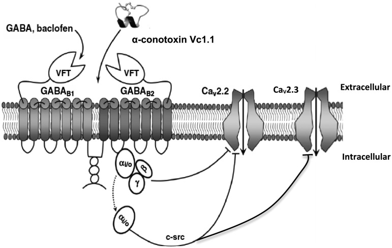 Figure 7