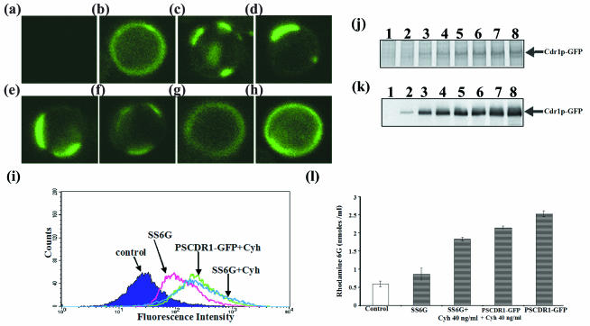 FIG. 7.