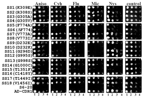 FIG. 4.