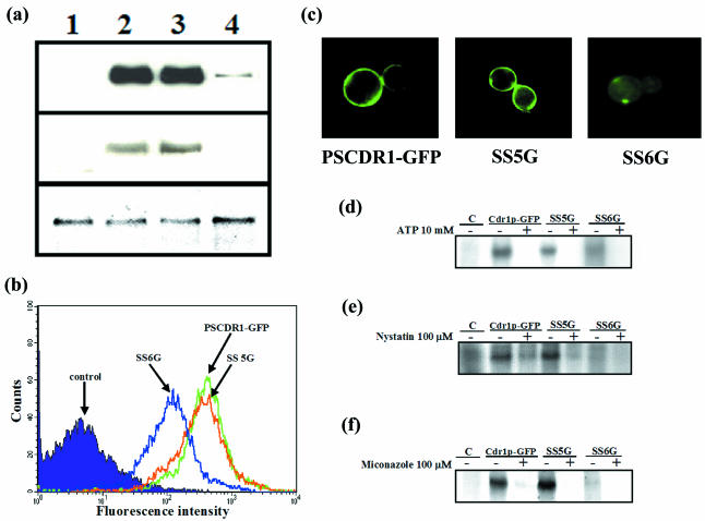 FIG. 6.