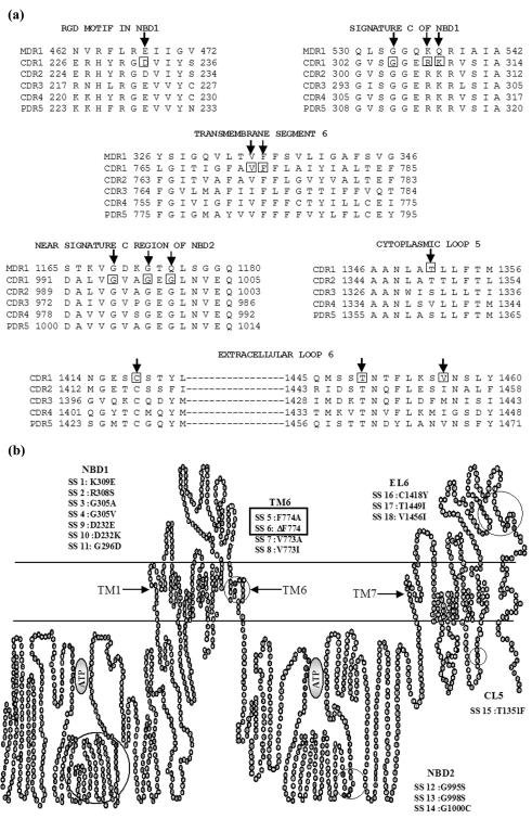 FIG. 3.