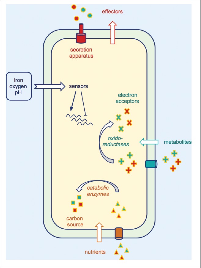 Figure 3.