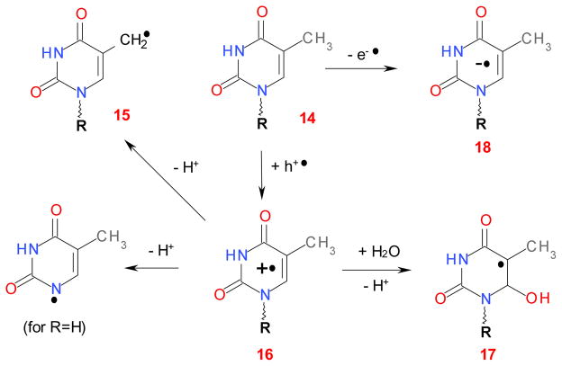 Scheme 4