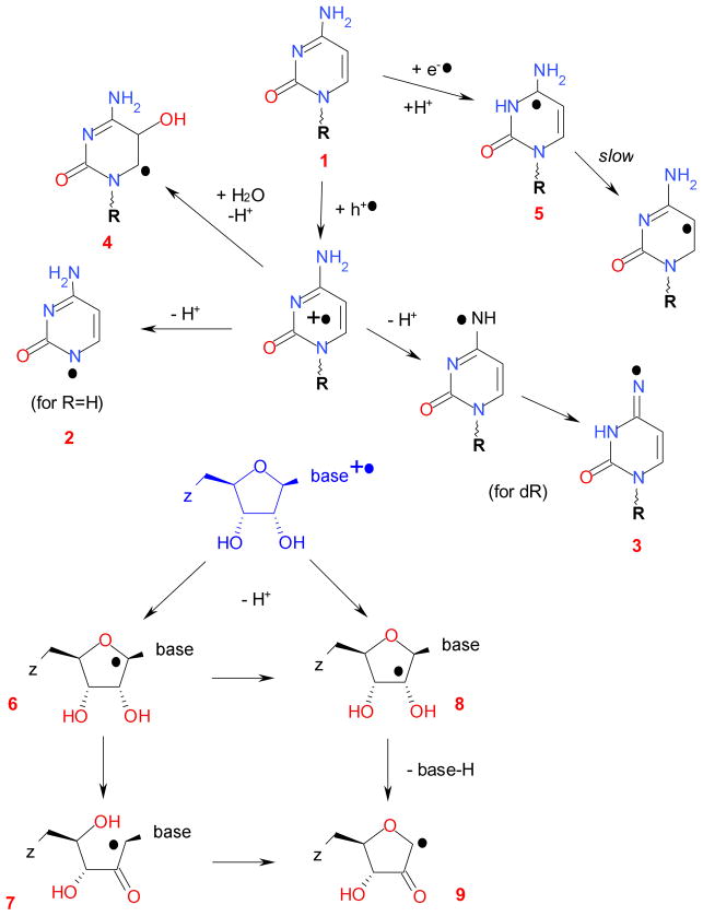 Scheme 2