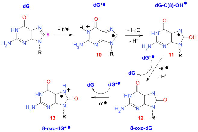 Scheme 3