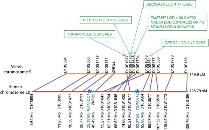 Figure 2.