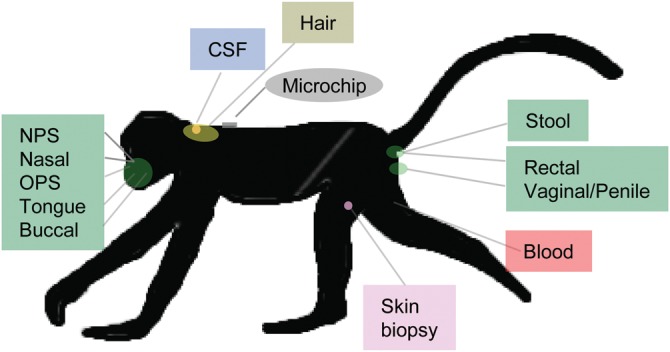 Figure 4.