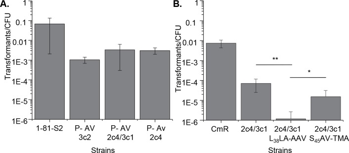 Fig 5