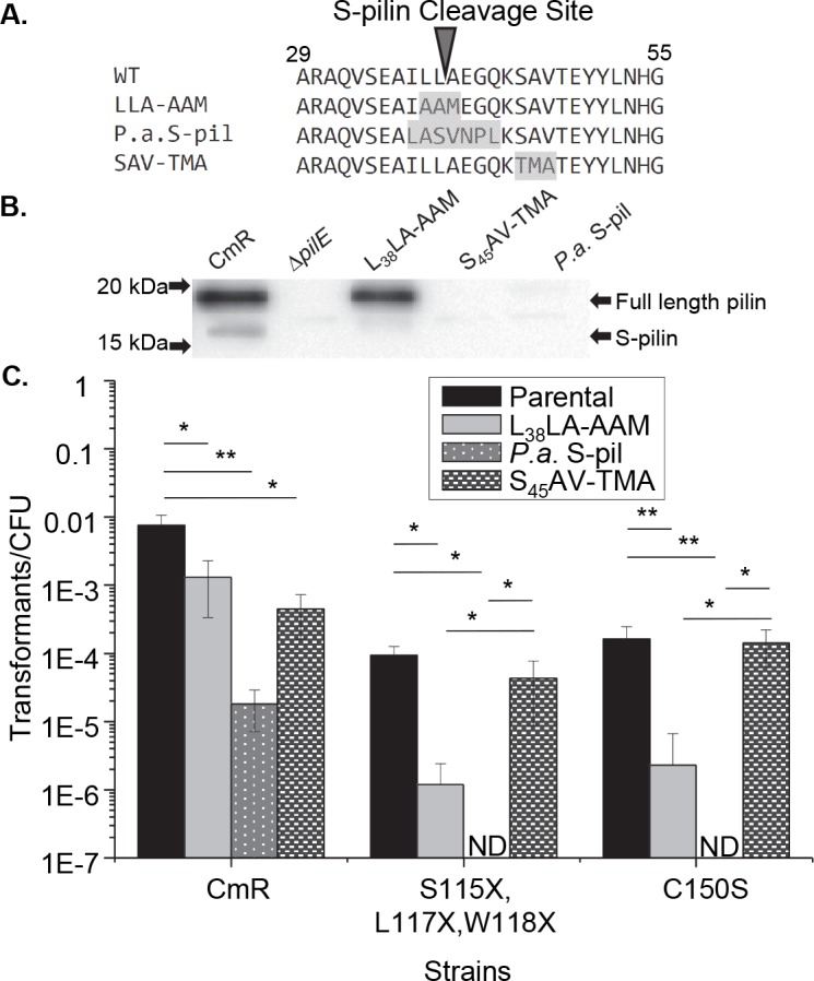 Fig 4