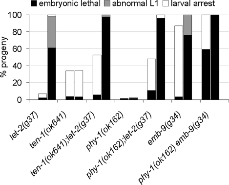 FIGURE 9: