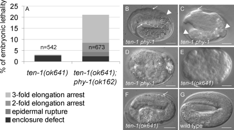 FIGURE 3: