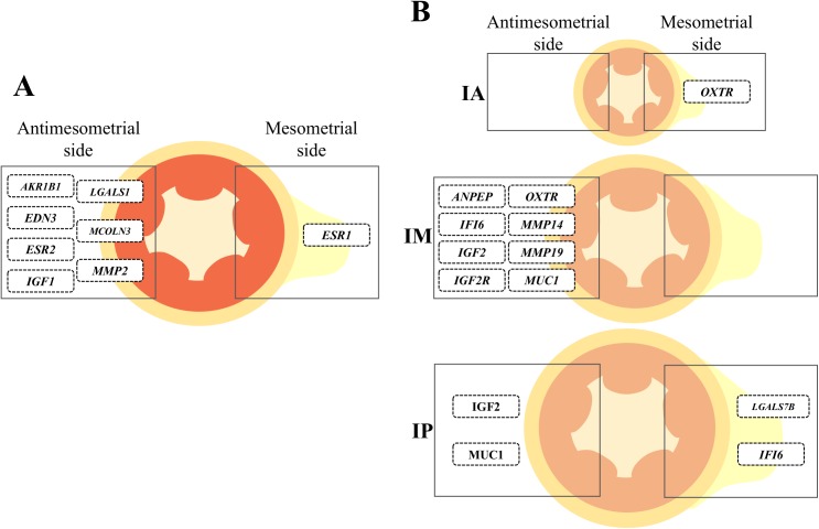 Fig 8