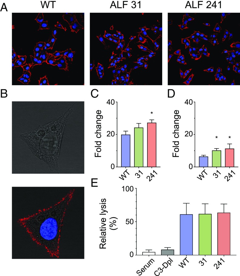 Fig. 4.