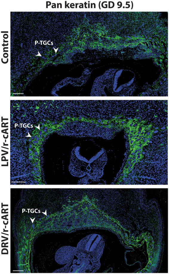 Figure 6.