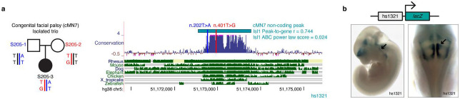 Extended Data Figure 7.