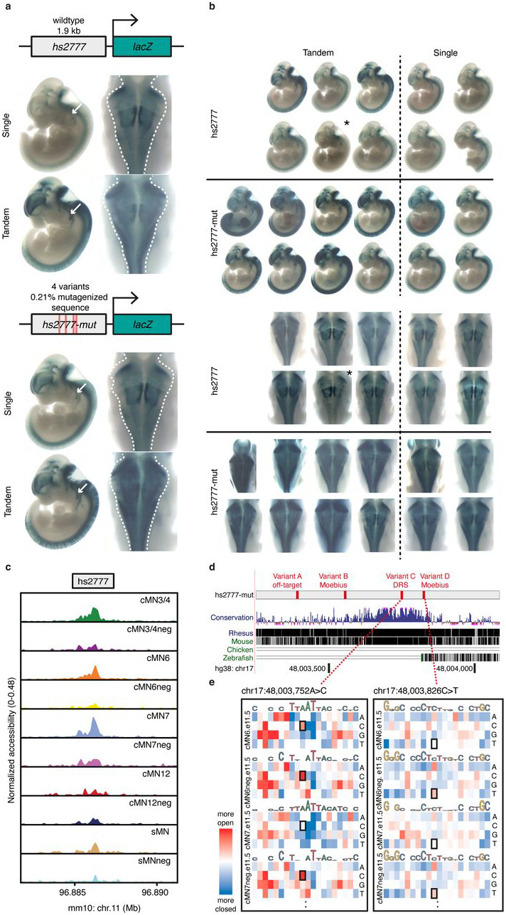 Extended Data Figure 9.