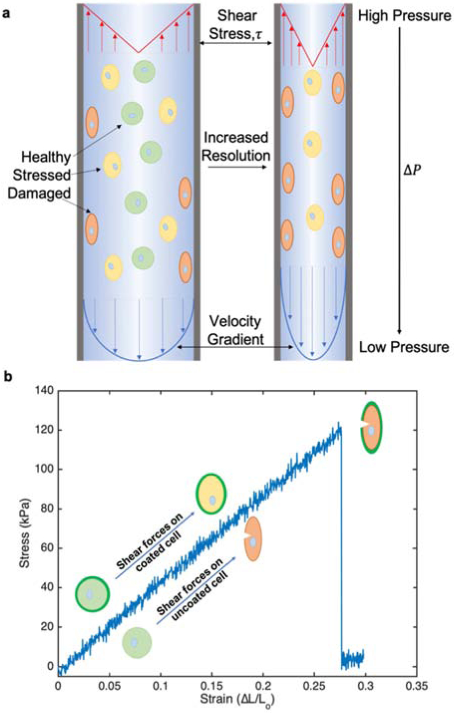 Figure 1: