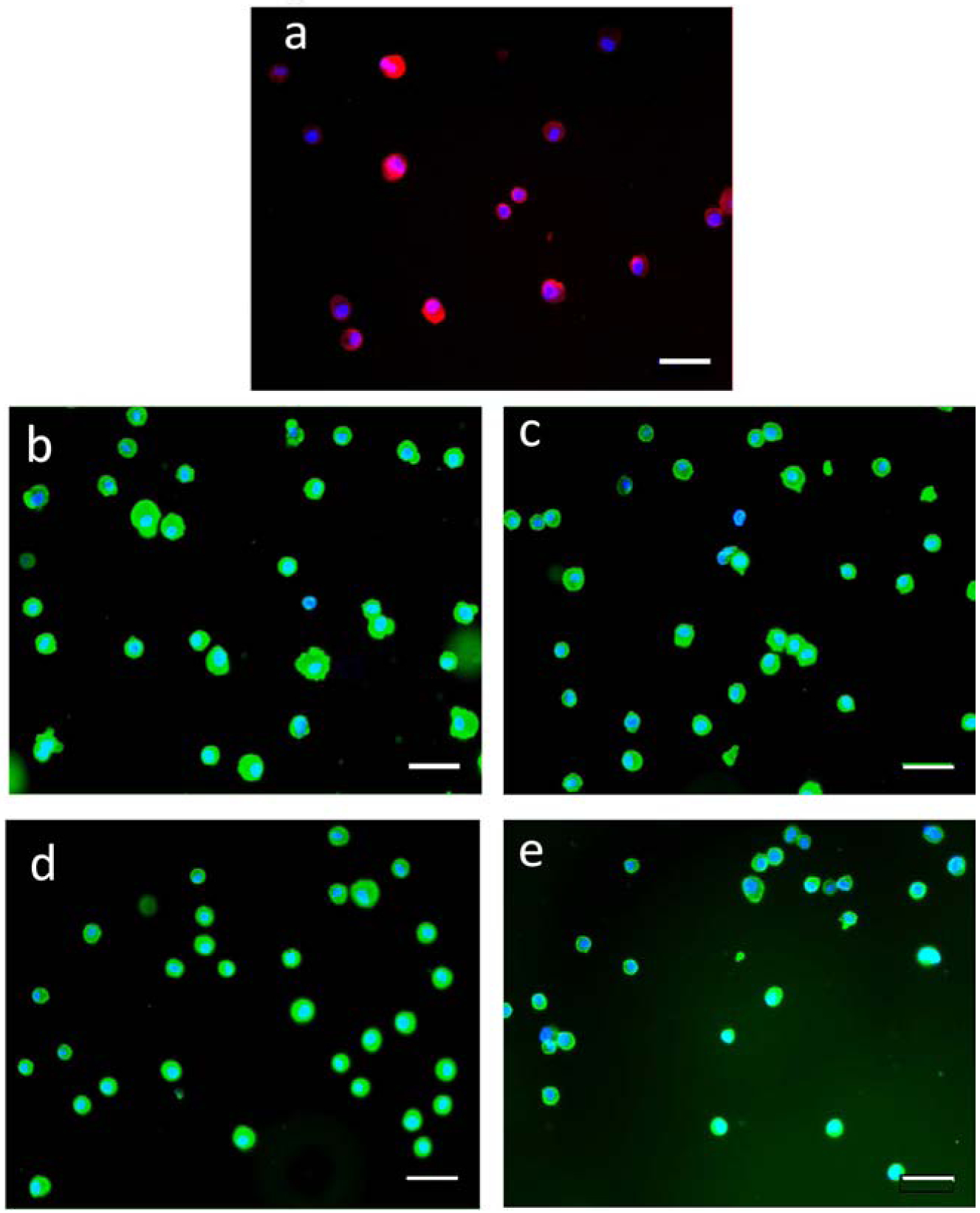 Figure 3: