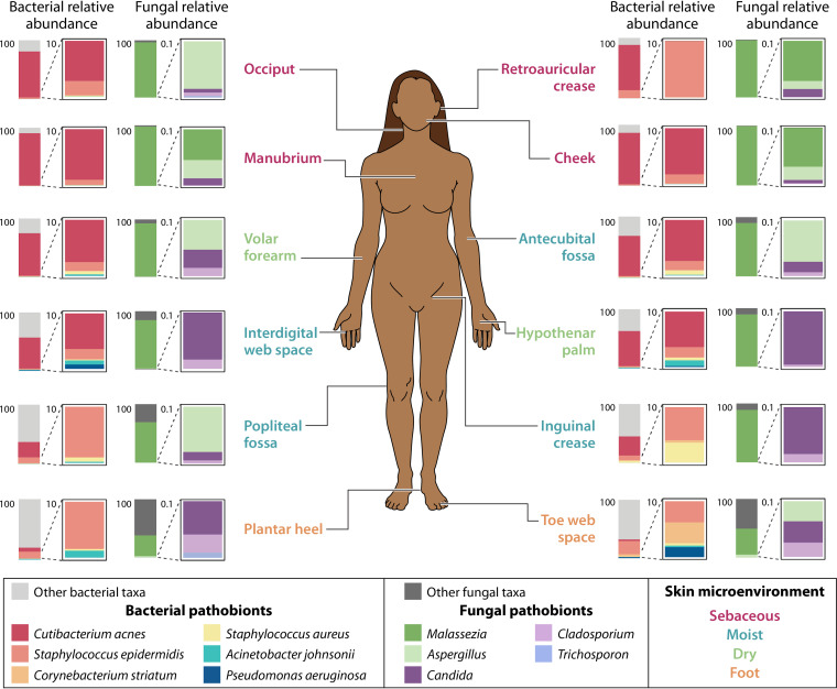 FIG 3