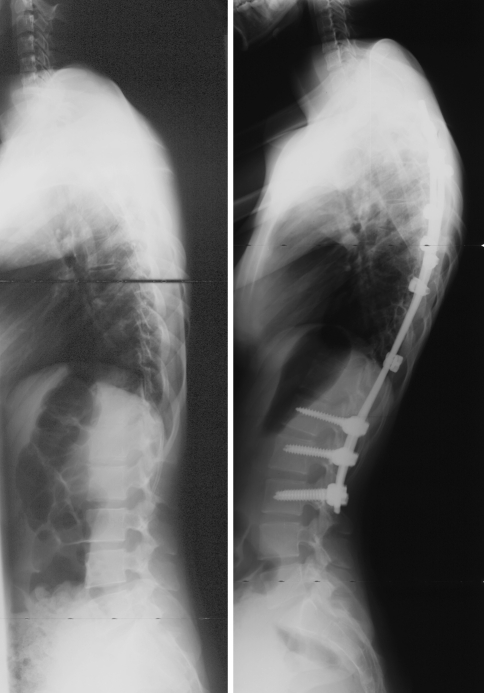 Fig. 6