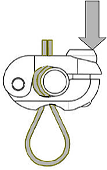 graphic file with name 586_2008_839_Figa_HTML.jpg